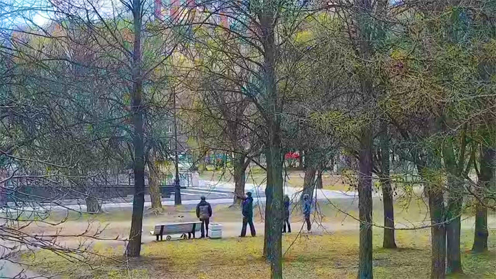 Онлайн веб-камера в Любашинском саду, Санкт-Петербург